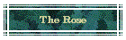 The Rose